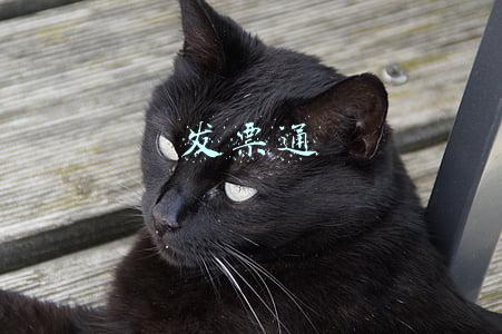 发票通