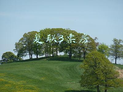 复联3票房