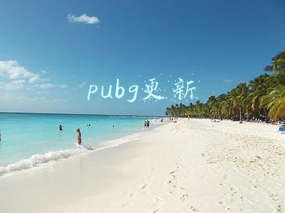 pubg更新