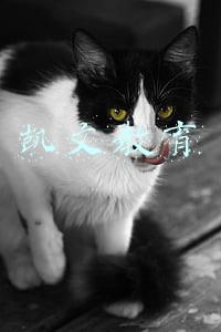 凯文教育重组(凯文教育控股股东变更为海国投 纯国资控股或有利于教育资源进一步集中)