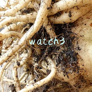 watch3