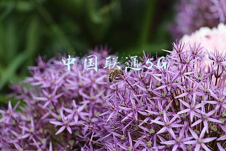 中国联通5g宣传海报(匠心网络，就选联通5G融合，网速快服务好)