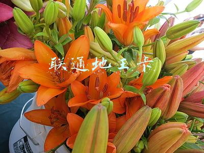 联通地王卡