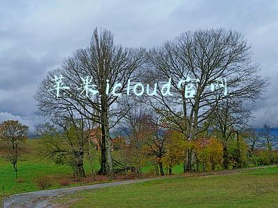 苹果icloud官网登录入口(苹果手机丢了定位没开怎么找回)