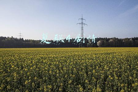 复联4剧情