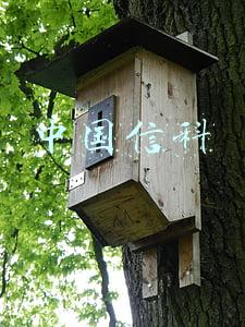 中国信科