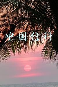 中国信科