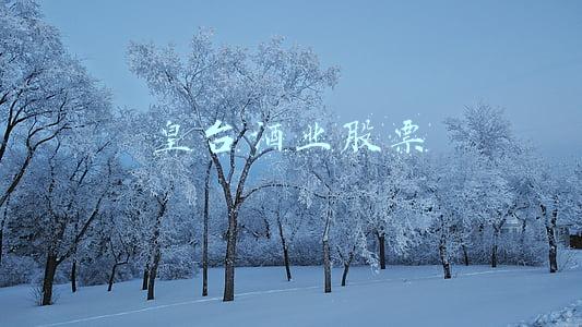 皇台酒业股票