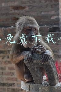怎么免费下载音乐