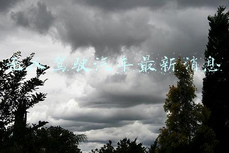 无人驾驶汽车最新消息
