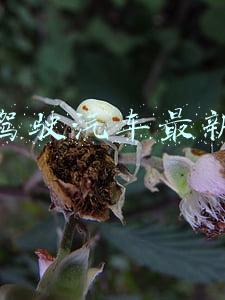 无人驾驶汽车最新消息