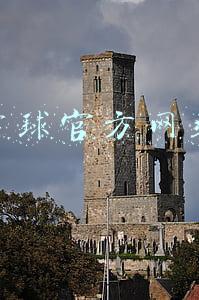 雪球官方网站
