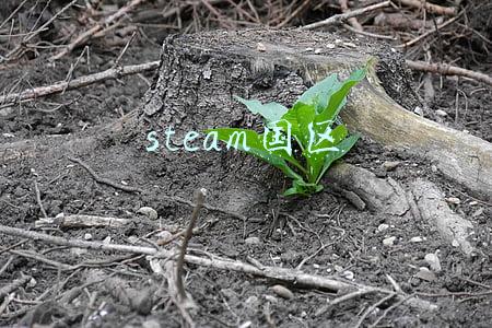 steam国区和外区的区别(玩家们的力量是强大的！Epic平台向国区做出妥协！)