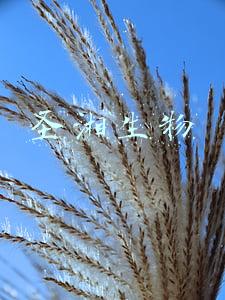 圣湘生物股吧(圣湘生物(688289.SH)三项检测产品获欧盟CE List A认证)