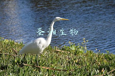 圣湘生物科技有限公司官网(圣湘生物科技股份有限公司 2021年年度报告摘要)