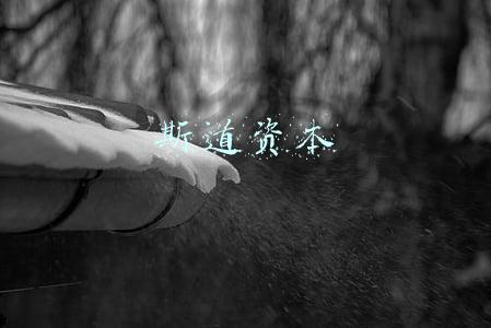 斯道资本