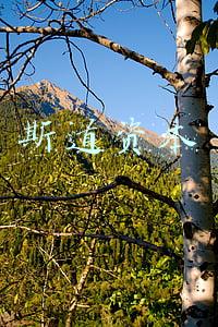 斯道资本被骗(融资丨「瑞云冷链」获亿元Pre-A轮融资，斯道资本领投)