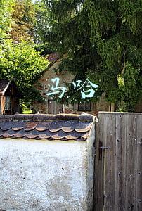马哈