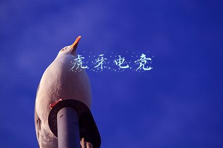 虎牙电竞直播在线观看(虎牙、斗鱼、企鹅电竞归一家：游戏直播也需反垄断法？)