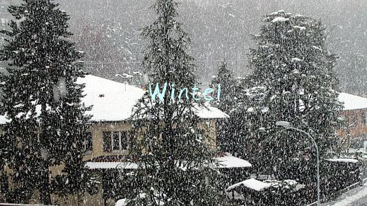 Wintel