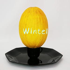 Wintel