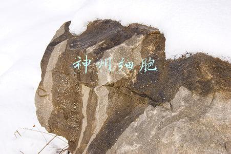 神州细胞股股票(研发持续“烧钱”，市值蒸发上百亿 神州细胞发年报当日收问询函)