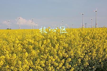 核心区