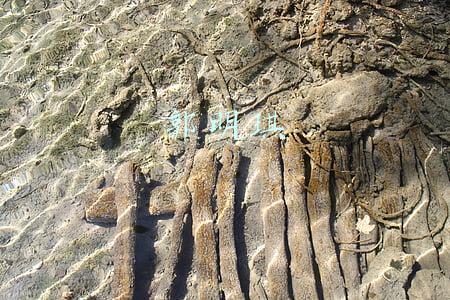 郭明琪预测(郭明錤又预测了：苹果将在2024年推出首款全面屏智能手机)