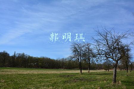 郭明錤(郭明錤：iPhone 14系列稳了)