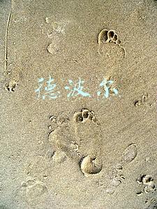 德波尔