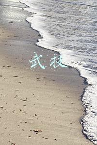 武技