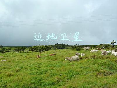 近地卫星