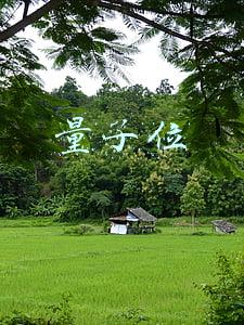 量子位