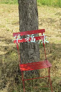 毕福康