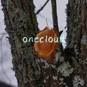 onecloud