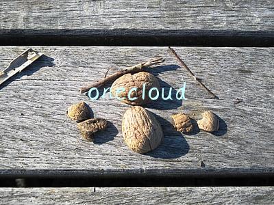 onecloud