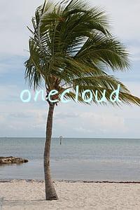 onecloud