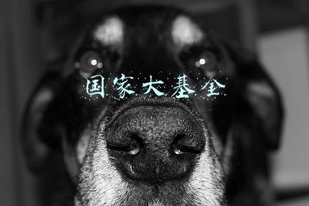 国家大基金二期(国家大基金二期虎年第二投：携手IDM龙头士兰微9亿元加码12英寸芯片制造)
