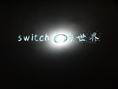 switch我的世界