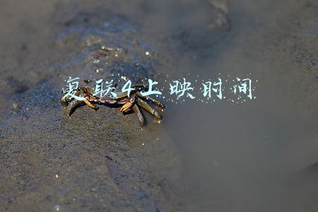 复联4上映时间日期中国(漫威影业官方微博宣布《复仇者联盟4》中国内地定档4月24日上映)
