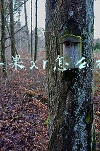苹果xr怎么样