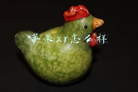 苹果xr怎么样
