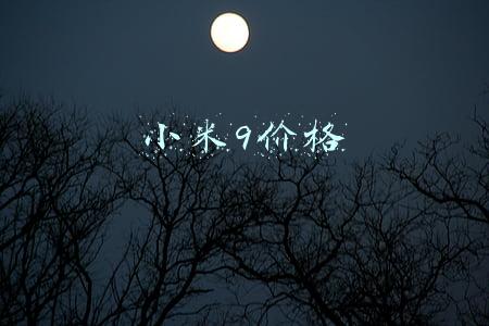 小米9价格