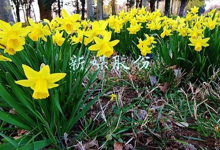 新媒股份股票(新媒股份4月19日上市 打造全媒体综合播控平台运营商)