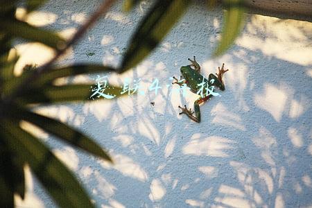 复联4海报