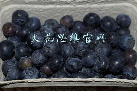 火花思维官网安卓下载(“火花思维”们能火多久？)