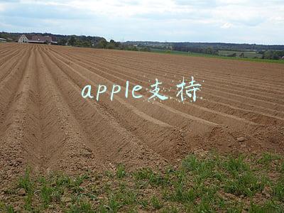 apple支持