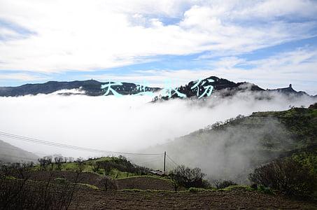 大业股份是什么公司(山东大业股份有限公司 2021年年度报告摘要)