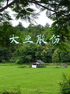 大业股份最新消息(山东大业股份有限公司关于召开 2021年度业绩说明会的公告)