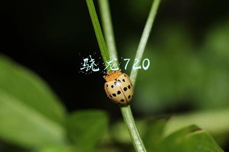 骁龙720